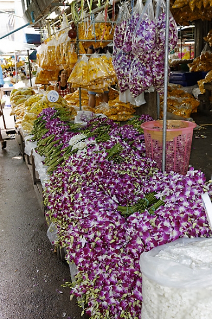 Pak khlong talat-006